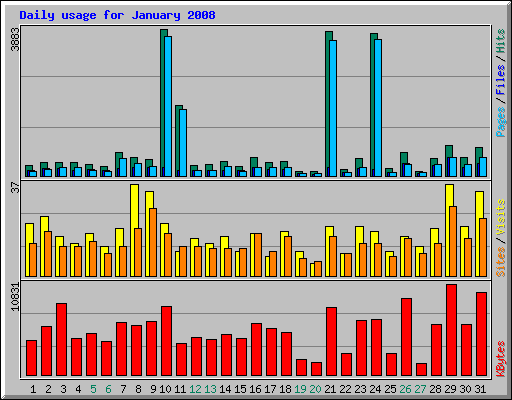 Daily usage for January 2008