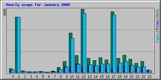 Hourly usage for January 2008